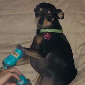 Meet your Posher, Colleen